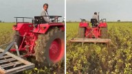 MP News: Distressed Soybean Farmers Runs Tractor Over Standing Crop In Sehore, Say Harvesting Cost Overpowered Selling Price In Mandi; VIDEO