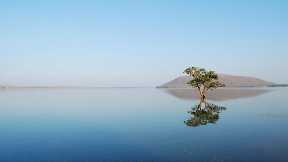 4 Beautiful lakes near Hyderabad that come alive in rainy season