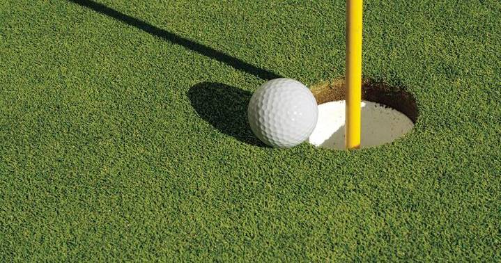 Lamb leads Wolverines golfers at Falls Classic
