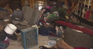 After 4 dead infants found in Pennsylvania home, landlord describes house of horrors