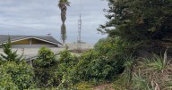 How Morro Bay's new weed abatement ordinance could lead to insurance discounts