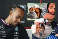 Totalmente devastado: Lewis Hamilton confirmó la muerte de su perro Roscoe