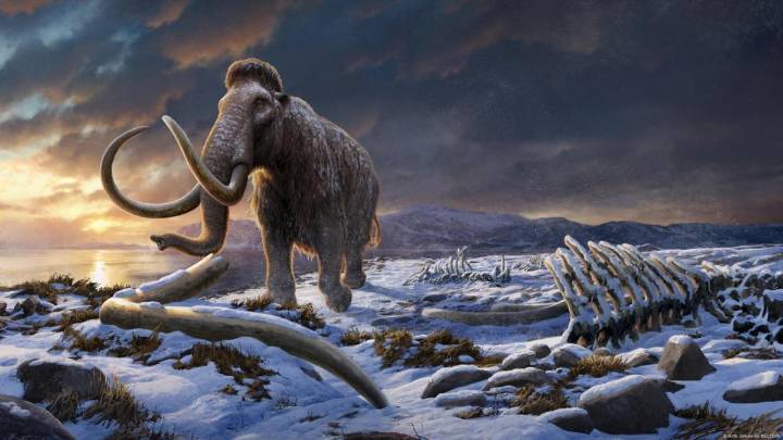 Mamut revela el ADN microbiano más antiguo jamás hallado