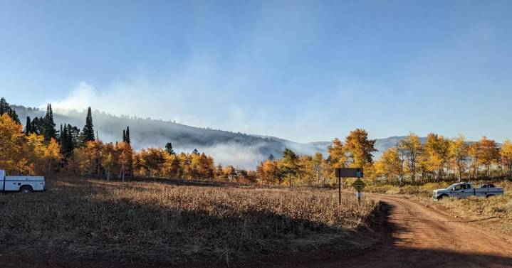 Forest service officials begin controlled burn in Logan Canyon