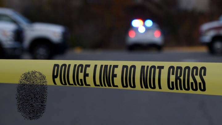 Elderly Albany Couple Vanished Years Ago: More Remains Found in Backyard