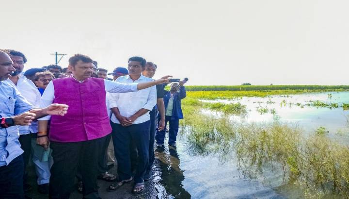 "People who have suffered losses will be compensated before Diwali": CM Fadnavis