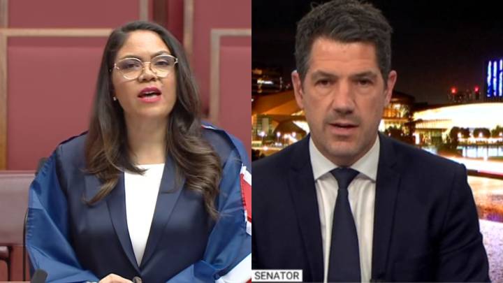 Senator Alex Antic says Senate fight over Jacinta Nampijinpa Price's Australian flag 'tells you a lot about the Greens'