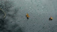Clima en Neuquén: sábado con lluvias y posibles tormentas