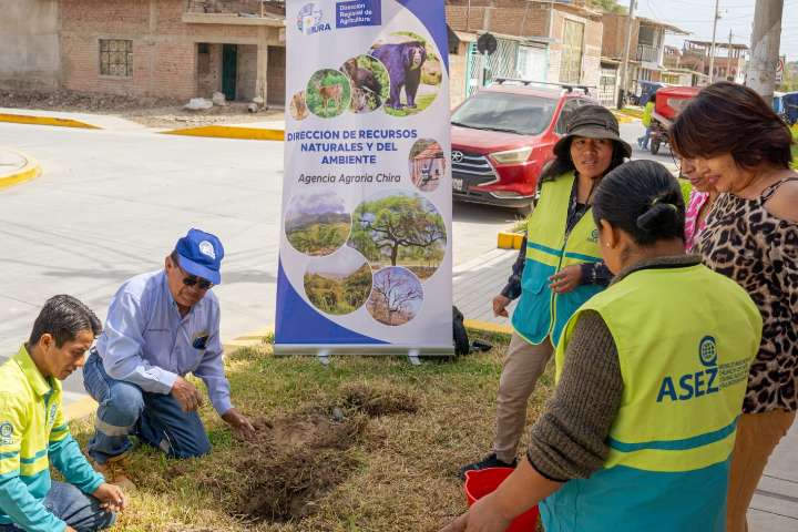 GORE Piura impulsa siembra de 19 mil árboles para ciudad sostenible