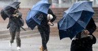 Water cycle becoming harder to predict: UN scientists