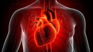 Heart diseases kill 8 people every minute in South