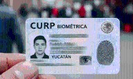 Tribunal de Yucatán suspende la CURP biométrica