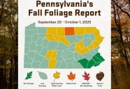 First look at Pa. fall foliage: ‘Don’t wait too long, this year’s peak will come fast’