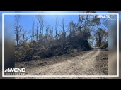 App State researchers document Helene's impact on forests, streams months after devastation