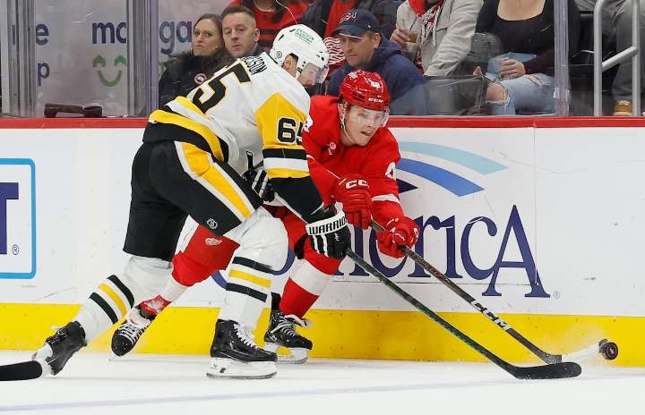 Reasons why Red Wings would or wouldn’t want this defenseman