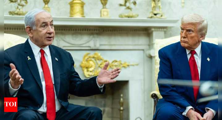 'Time to stop': Trump was asked if he'll allow Israel to annex the West Bank? What the US President said