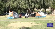 City manager lays out timeline of efforts working to fight homelessness