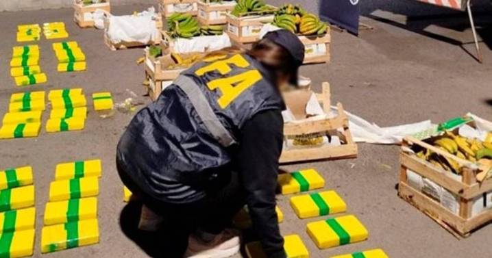 Entre bananas y papayas se escondían 85 kg de cocaína