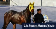 Everest 2025: Ka Ying Rising trainer David Hayes confident race favourite can outperform Australian stars