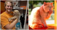 College Football Fans Can't Get Enough of Pudge the Cat