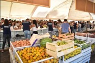 El Mercado Municipal abre este sábado con ofertas en alimentos