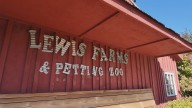 Lewis Adventure Farm and Zoo honors co-owner's legacy with fun filled actives for the fall