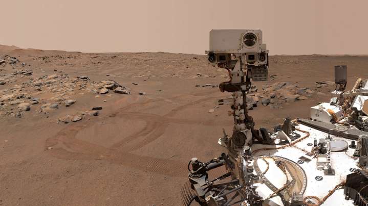 Did NASA find life on Mars? Why rocks could hold biosignature