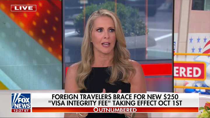 Fox Ignores Elephant In The Room On Plummeting Tourism Numbers