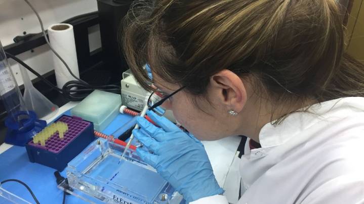 Estudio: la inversión en bienes de capital para hacer ciencia se redujo 65% en dos años