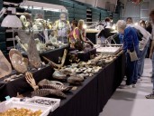 Orange County things to do, starting Sept. 12
