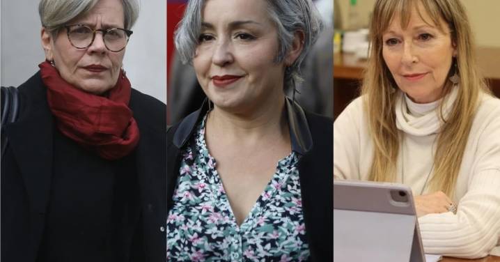 Parlamentarias oficialistas llaman a seguir avanzando en aborto a la espera de las definiciones programáticas de Jara