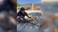 Veteran In California Plans To Adopt A 16-Year-Old Dog, But Ends Up With A Heartwarming Surprise