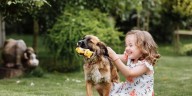 Los perros (pero no los gatos) podrían proteger contra el asma infantil, según un estudio