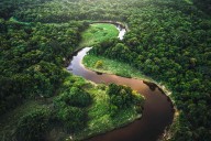 Man Could Face Charges for Taking Son into Brazilian Wilderness for Tech Detox