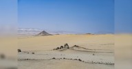 “Paracas. Silencio Habitado”: exposición que festeja los 50 años de Paracas como reserva nacional, en el museo Amano