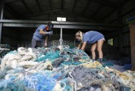 Amenazas abandonadas: las redes fantasma afectan los ecosistemas marinos