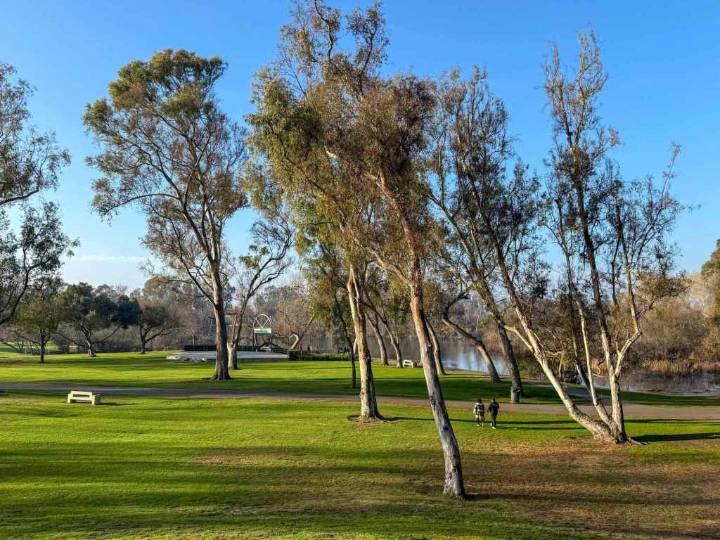 Huntington Beach City Council considers terminating Symphony of Flowers contract
