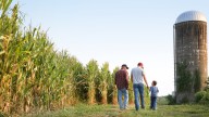 The US State That Produces The Most Corn