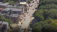 Zoo New England to plant 2,000 new trees in two Boston neighborhoods