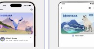 Montana rolls out mobile ID program