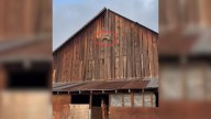 Mysterious Brown Object Hanging From Oregon Barn Turns Out To Be A Distressed Animal In Need