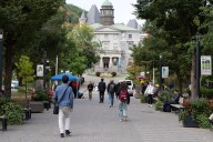 Where the boys aren’t: What is lost when fewer men go to university?