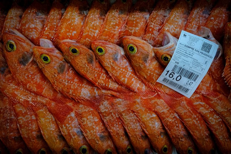 Deal to curb billions in overfishing subsidies comes into force at WTO