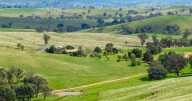 Auction near Molong: 1097 acre Cronga Peak off to auction