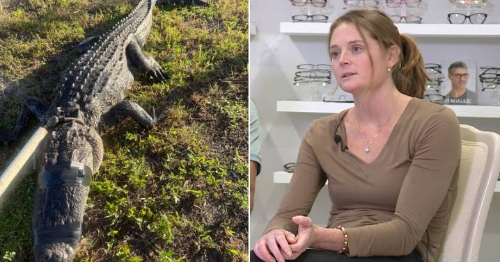 'I was just punching his head': Florida woman recalls gruesome alligator attack