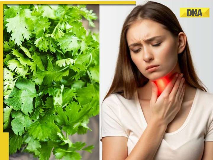 Coriander seeds can help regulate your Thyroid: What are top 3 benefits