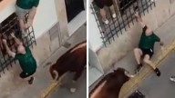 Spanish Bull Gores Spectator to Death, Watch the Video