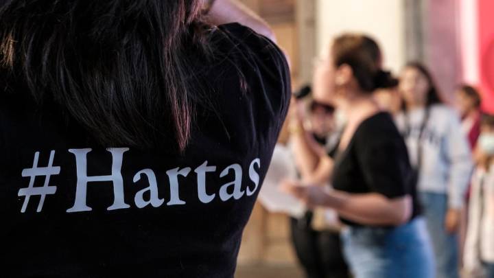 Un juez condena a un hombre por violencia vicaria tras matar al perro de su pareja en una pionera sentencia
