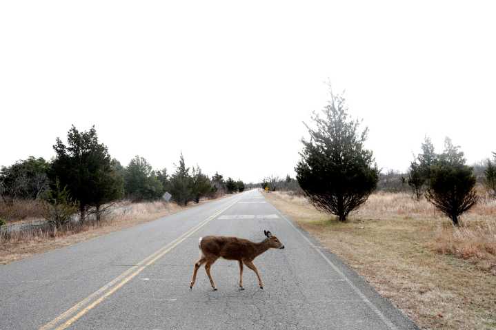 Here’s what a government shutdown could affect around the country