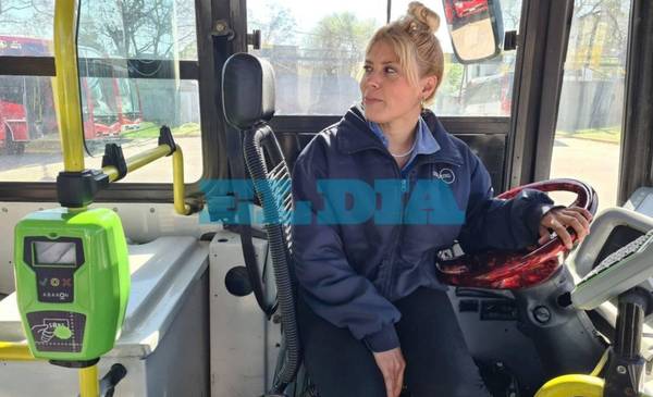 VIDEO. Día del Colectivero en La Plata: historias del oficio, desde arriba de un micro
